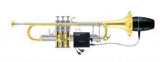 Trp Silent Brass