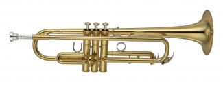 Tpt YTR 8310Z lack