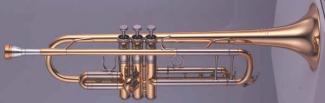 Tpt YTR-8335