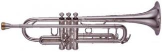 Tpt YTR-8345