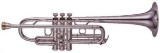 C-tpt YTR 8445G