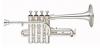 Yamaha Tpt Piccolo YTR 9830